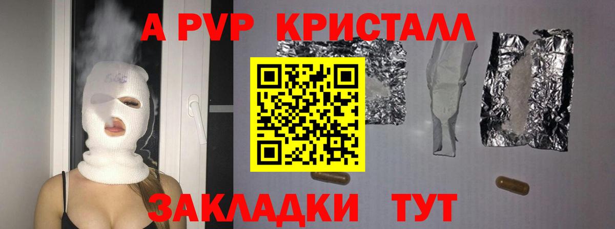 Альфа ПВП СК КРИС Пугачёв