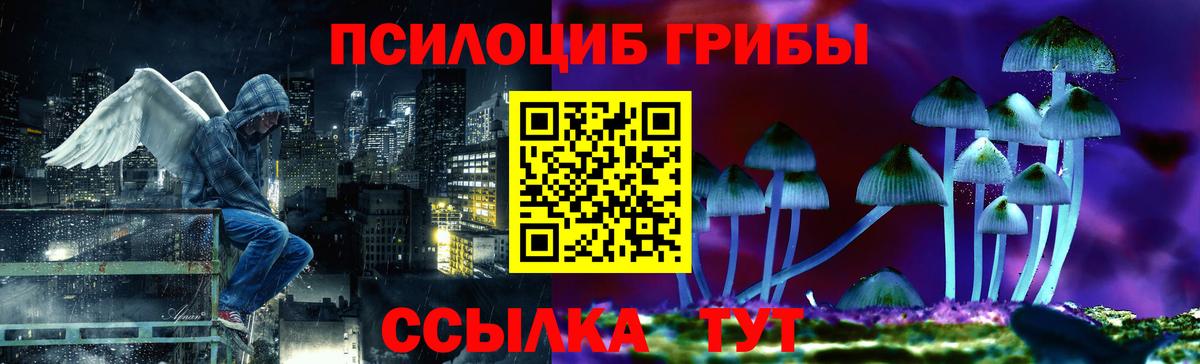 Пугачёв  Галлюциногенные грибы Magic Shrooms  Вход с VPN 